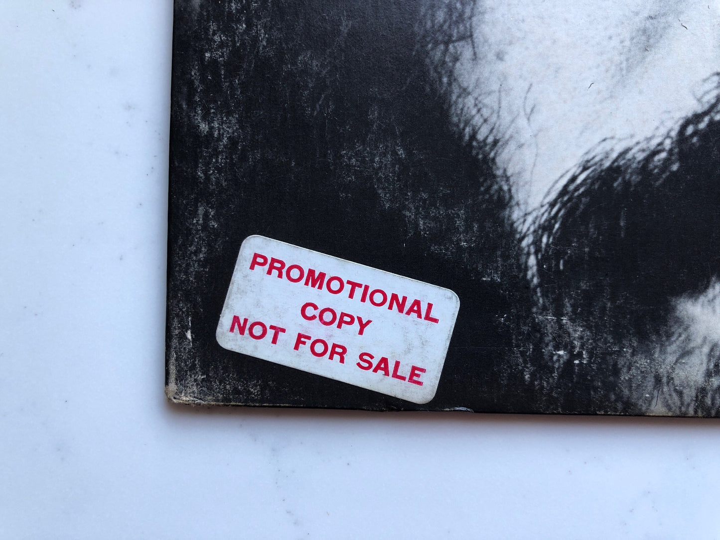 Laurie Kaye Cohen • Under The Skunk • Playboy Records PB 111 • PROMO • White Label